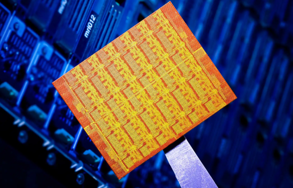 會員信息的顯示任務實現